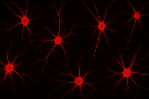 Understanding Your Brain: It's More Than Just Neurons