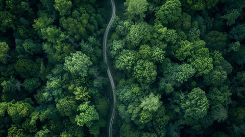 Why Natural Environments and Nutrition Are Critical for Brain Health