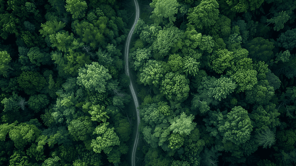Why Natural Environments and Nutrition Are Critical for Brain Health - Axolt