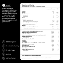 Axolt Daily Packs V2 - Axolt - Axoltbrain