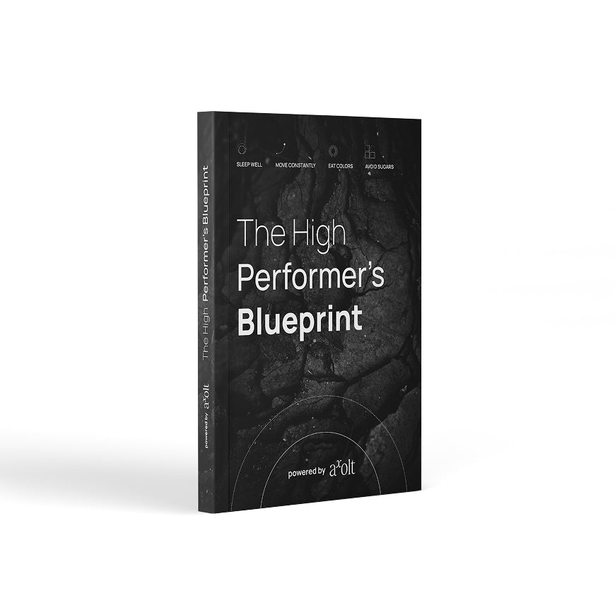 The High Performer's Blueprint — Free